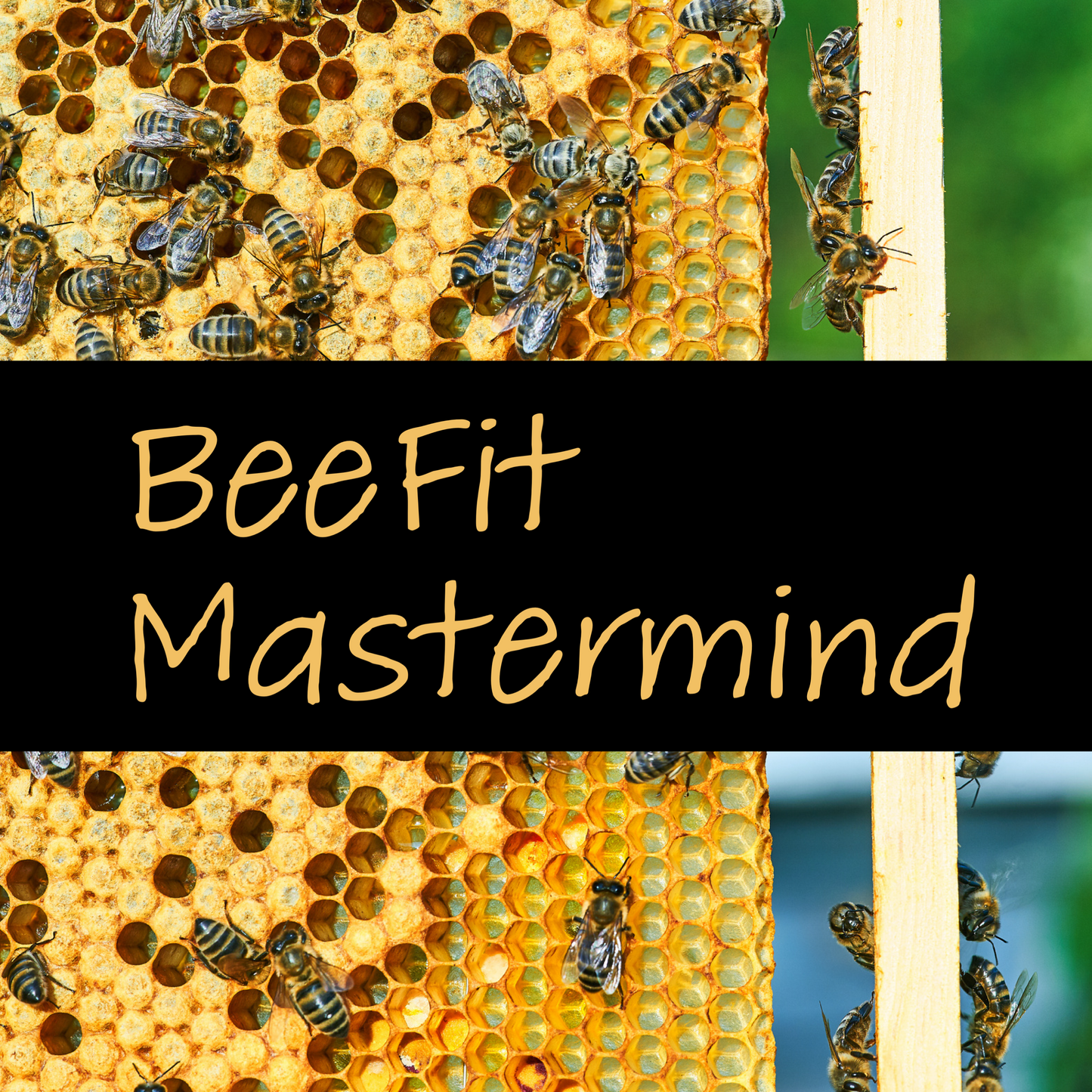 SOLD OUT! BeeFit Mastermind - Online Beginner Beekeeping Course