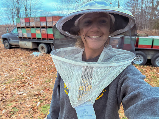 December Beekeeping Update!