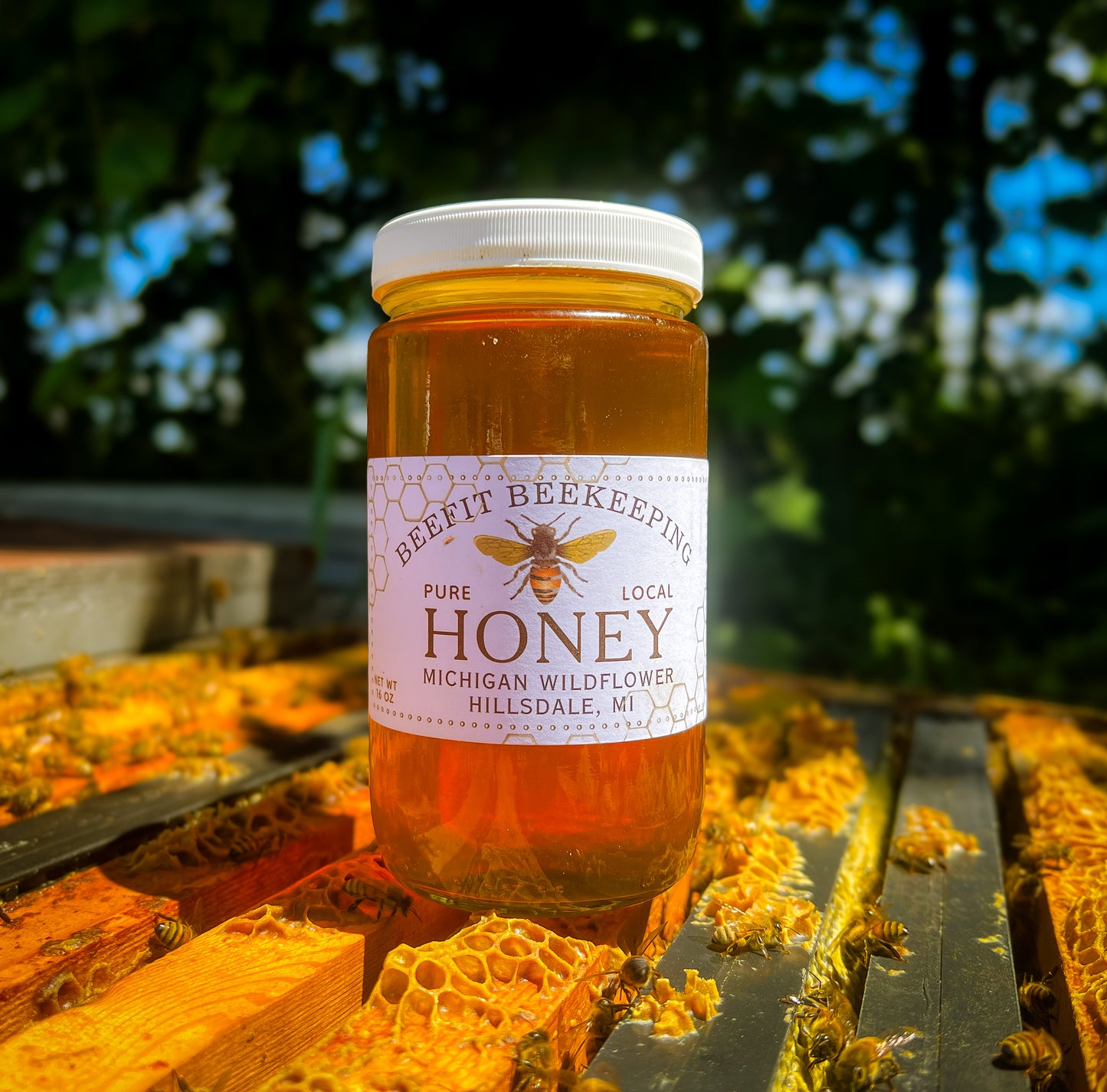 Michigan Wildflower Honey