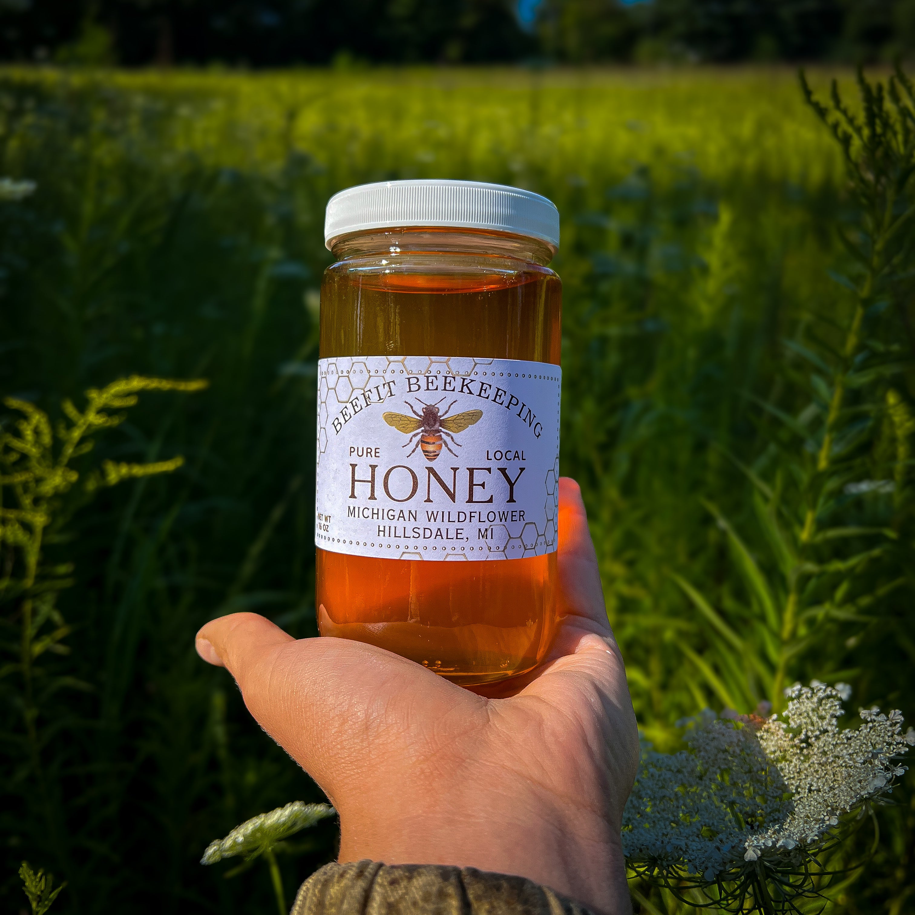 Michigan Wildflower Honey - 16oz – BeeFit Beekeeping