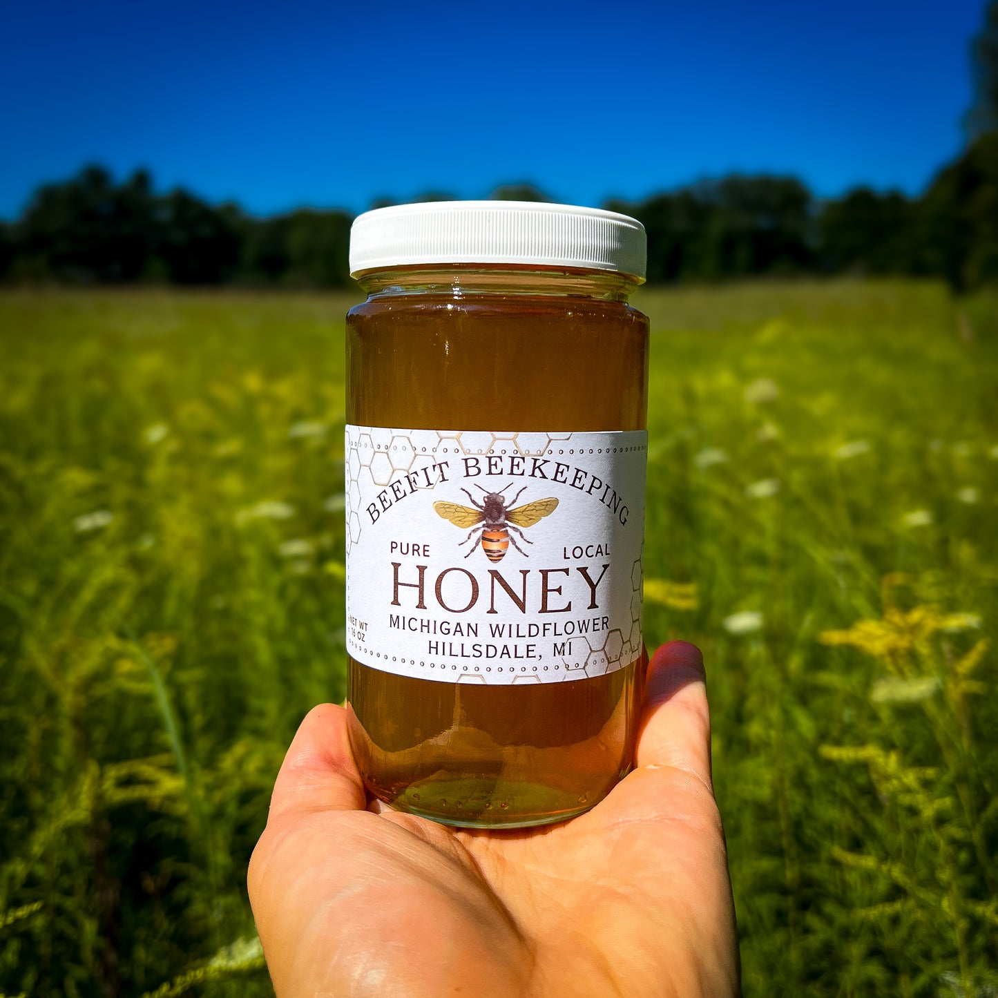 Michigan Wildflower Honey - 16oz