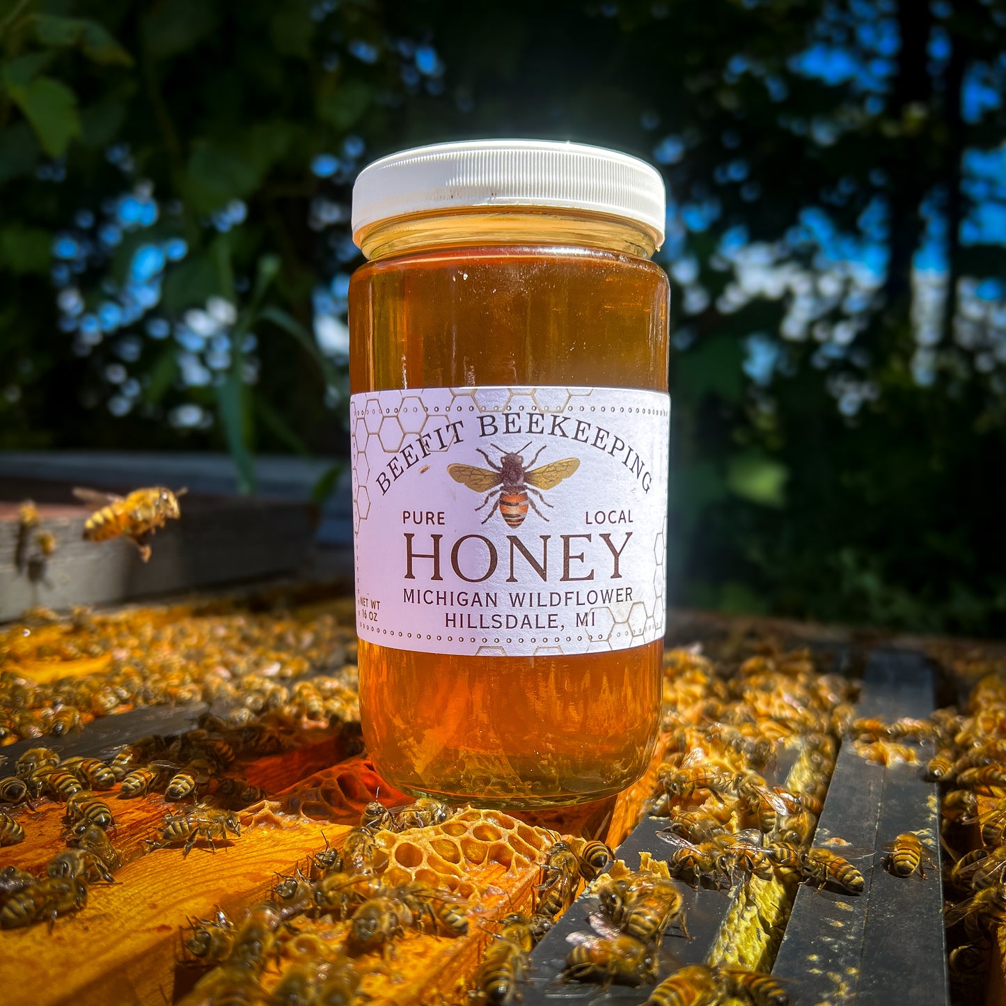 Michigan Wildflower Honey - 24oz