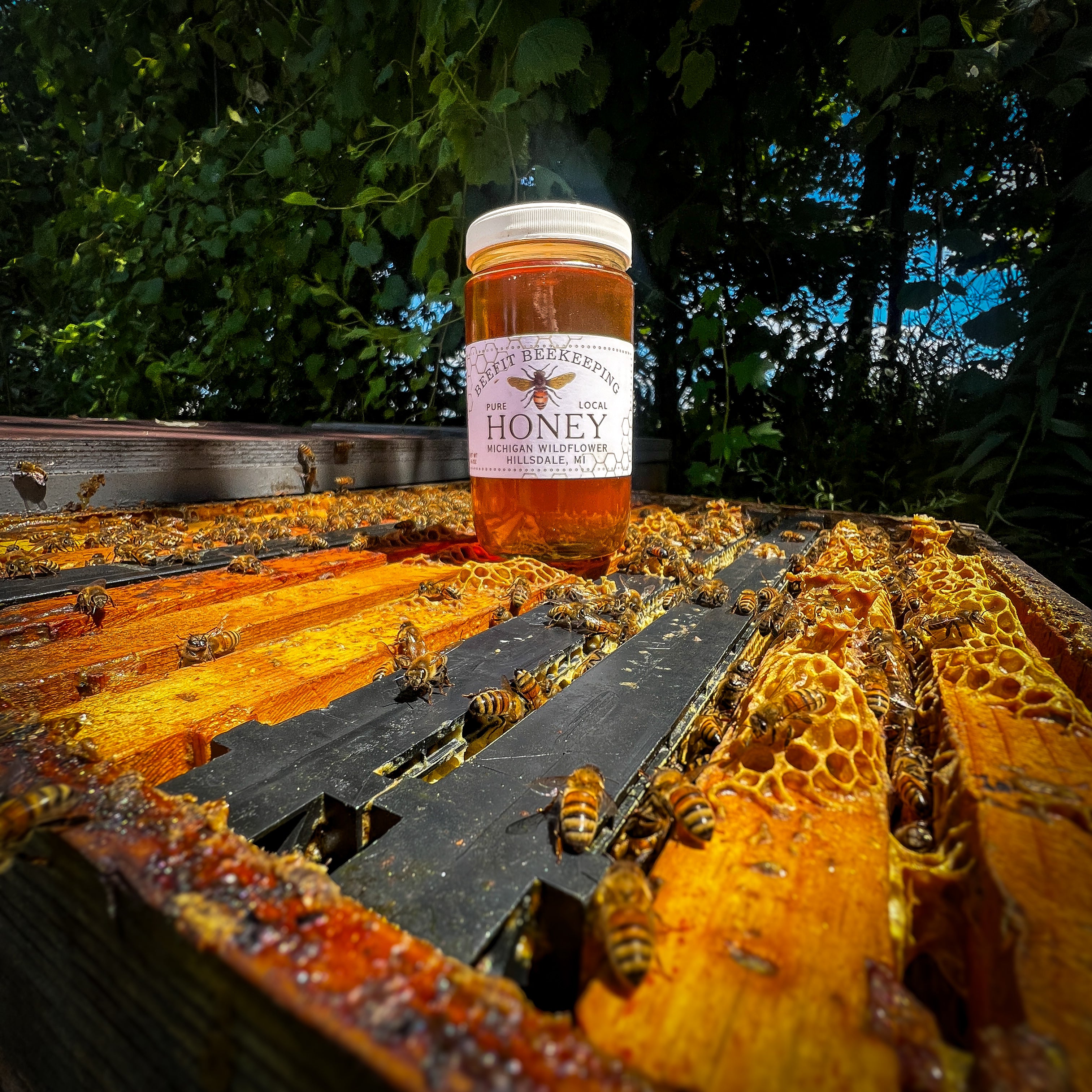Michigan Wildflower Honey - 24oz – BeeFit Beekeeping