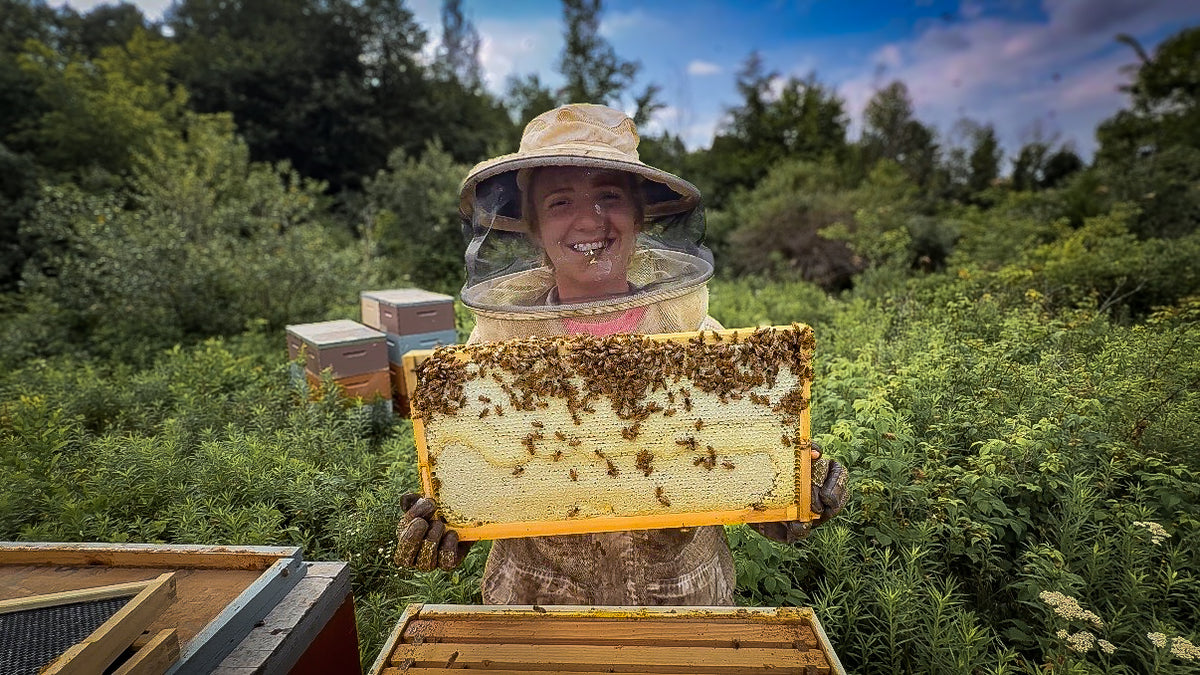 Michigan Wildflower Honey - 24oz