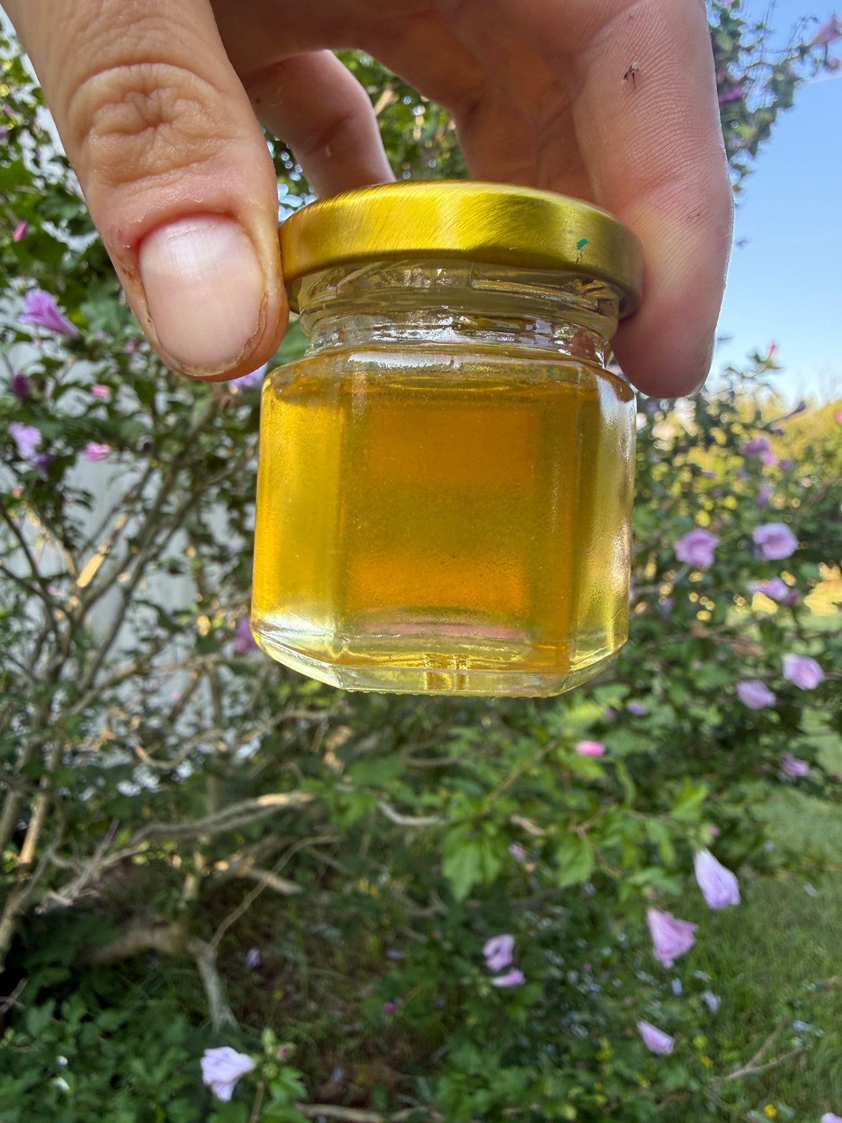 Michigan Wildflower Honey - 16oz