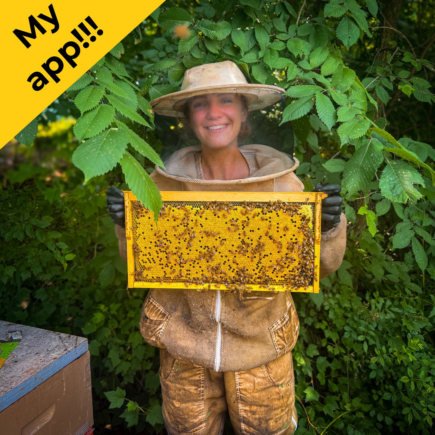Beekeeper Thrive - Your Beekeeping Mentor in Your Pocket!