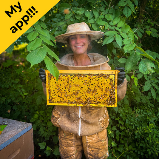 Beekeeper Thrive - Your Beekeeping Mentor in Your Pocket!